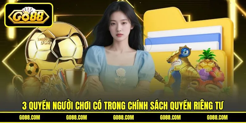 3 quyền người chơi có trong chính sách quyền riêng tư