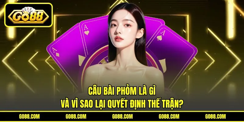 Câu bài phỏm là gì và vì sao lại quyết định thế trận?